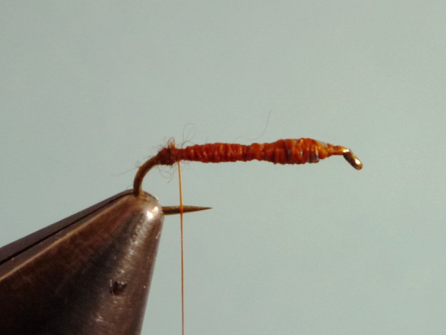Ephemerella Nymph