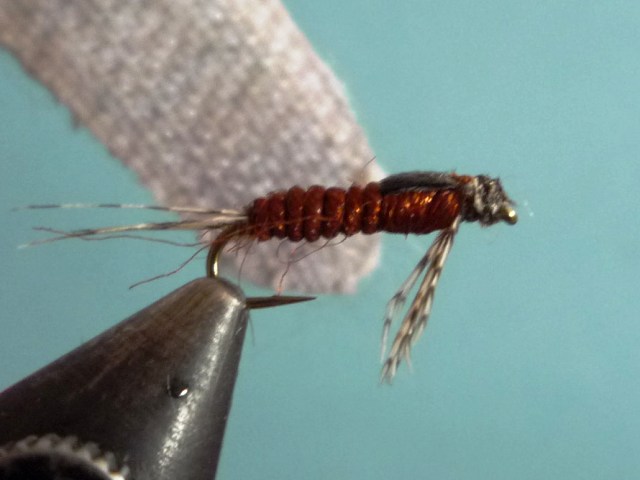 Ephemerella Nymph