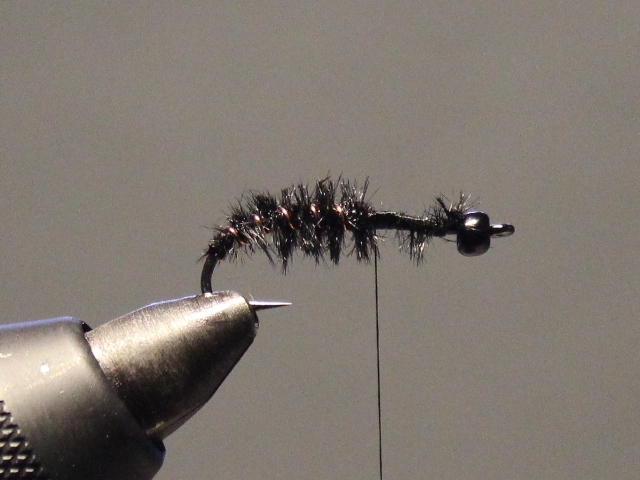 Glass Bead Cased Caddis 