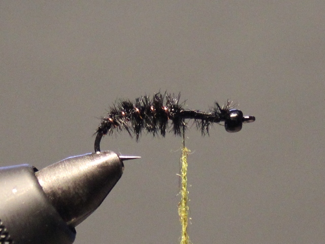 Glass Bead Cased Caddis 