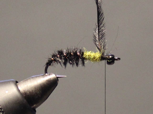 Glass Bead Cased Caddis 