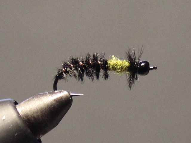 Glass Bead Cased Caddis 