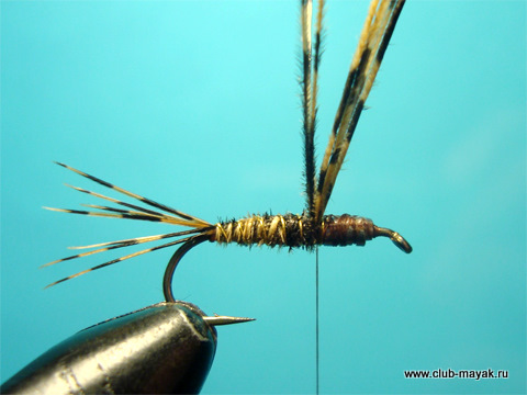 Нахлыстовая мушка нимфа Gold Pheasant Tail