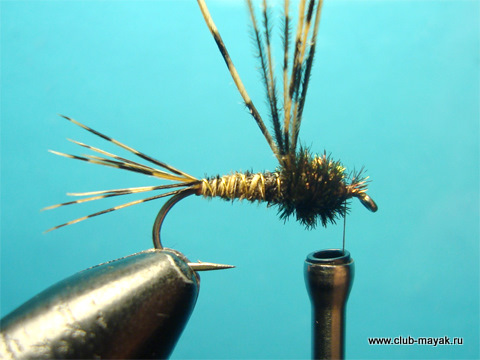 Нахлыстовая мушка нимфа Gold Pheasant Tail
