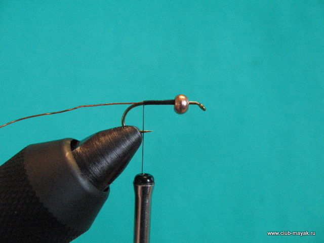 Нимфа Gold Thorax PTN