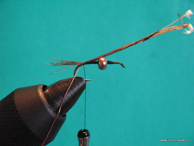 Нимфа Gold Thorax PTN
