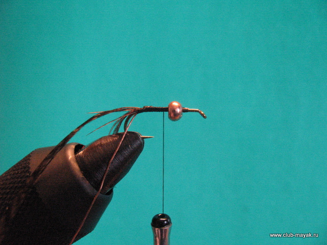 Нимфа Gold Thorax PTN