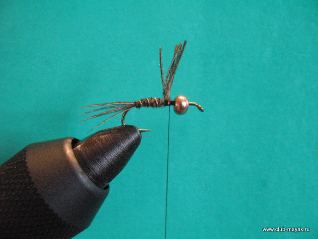 Нимфа Gold Thorax PTN
