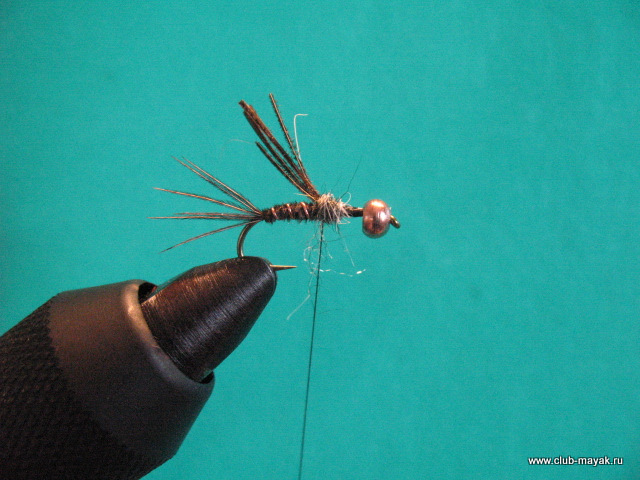 Нимфа Gold Thorax PTN