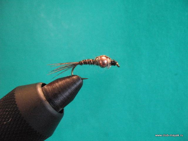 Нимфа Gold Thorax PTN
