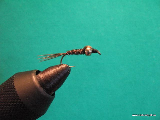 Нимфа Gold Thorax PTN
