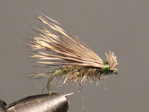 Grannom