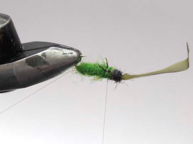Нимфа Green Caddis Larvae