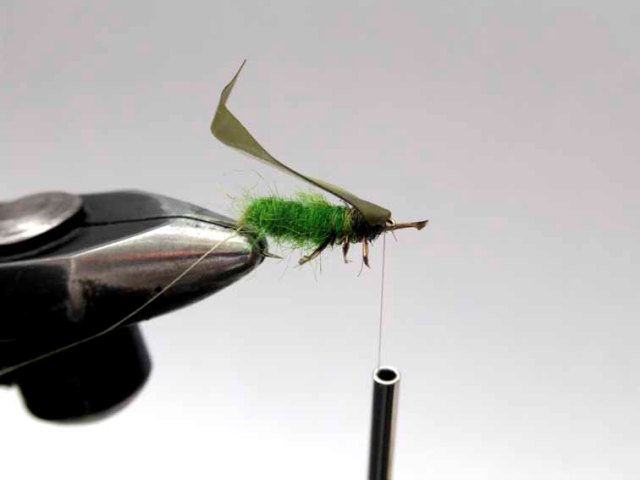 Нимфа Green Caddis Larvae