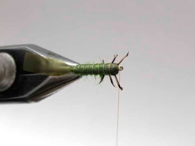 Нимфа Green Caddis Larvae