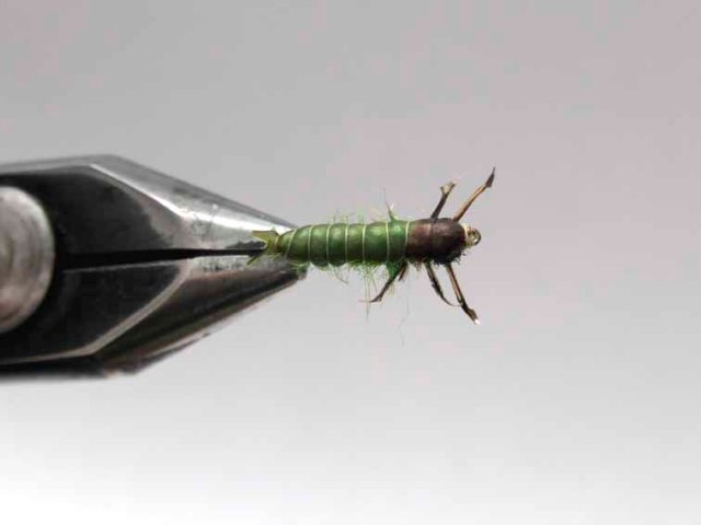 Нимфа Green Caddis Larvae