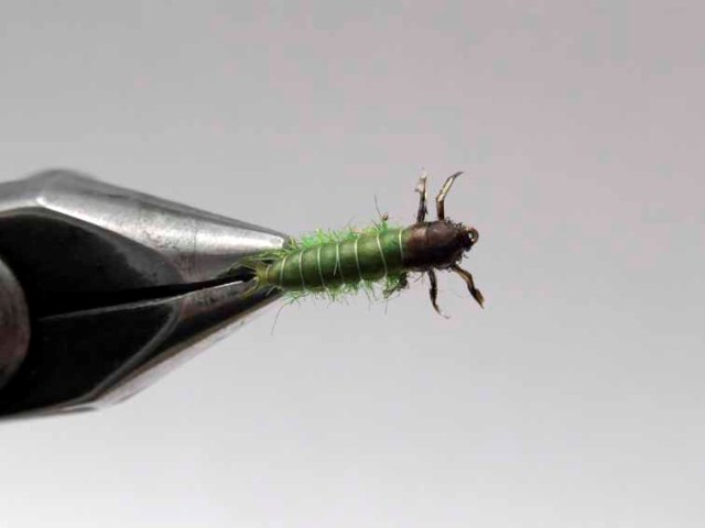Нимфа Green Caddis Larvae
