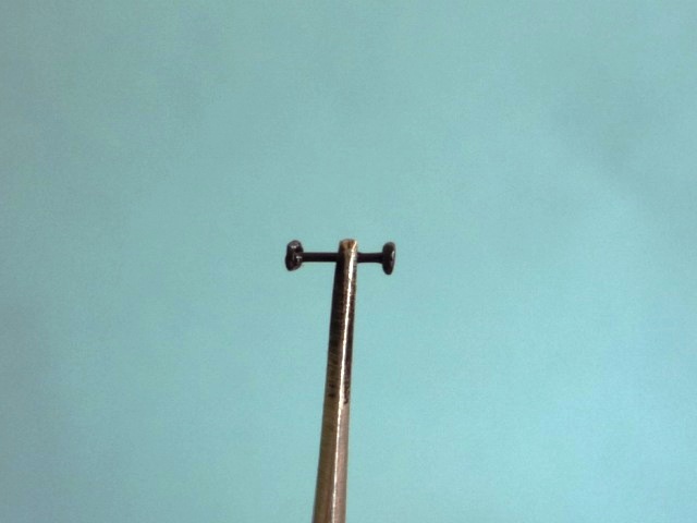 Heptagenid Nymph
