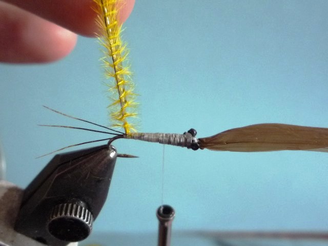 Heptagenid Nymph