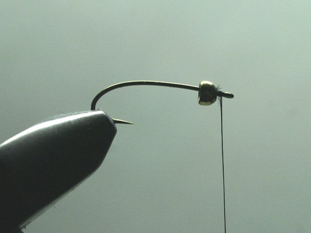 Long Nymph Variant