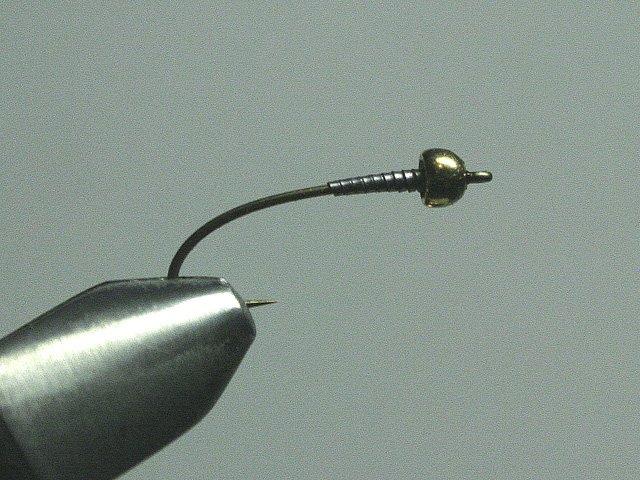 Long Nymph Variant
