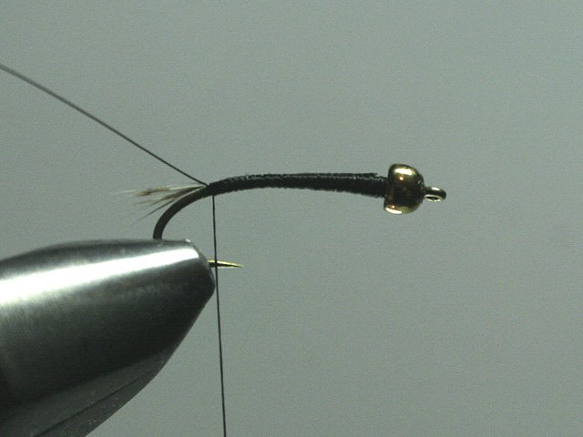 Long Nymph Variant