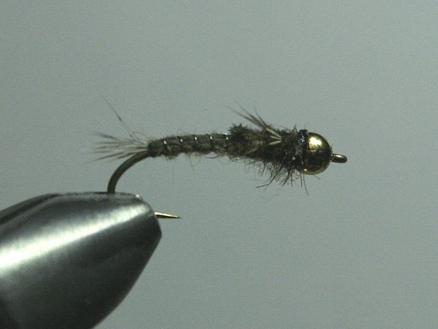 Long Nymph Variant