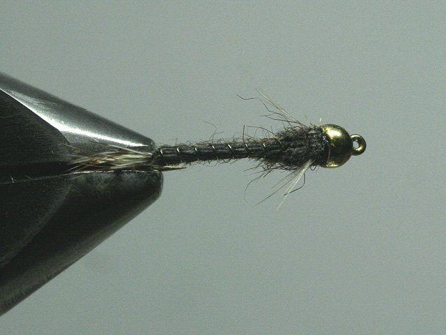 Long Nymph Variant