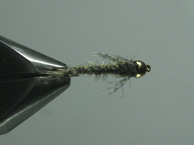 Long Nymph Variant