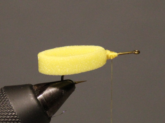Looped Stonefly Adult