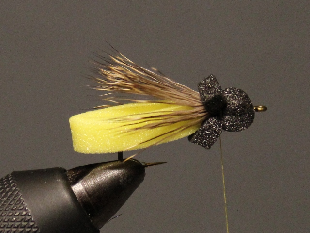 Looped Stonefly Adult