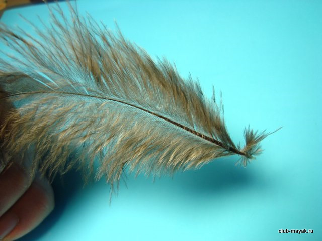 Нимфа MF Fuzzy Nymph 