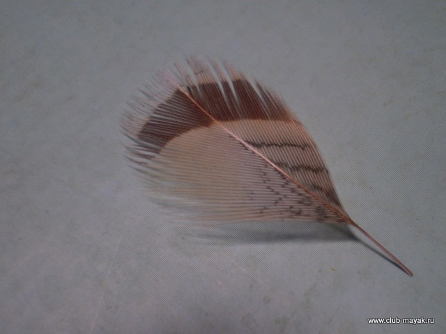 Сухая мушка MayFly Wallywing VW
