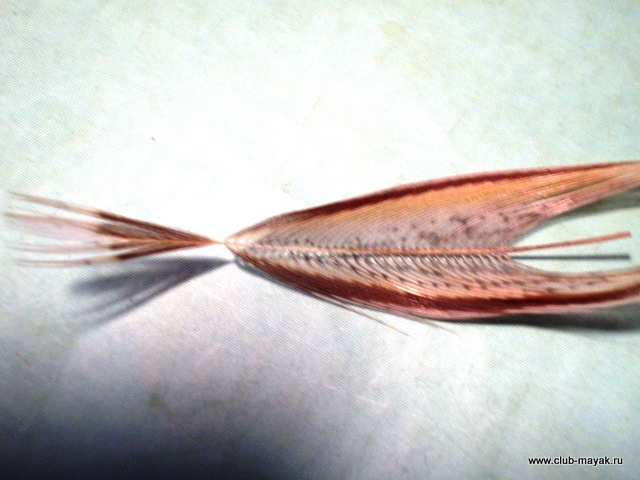 Сухая мушка MayFly Wallywing VW