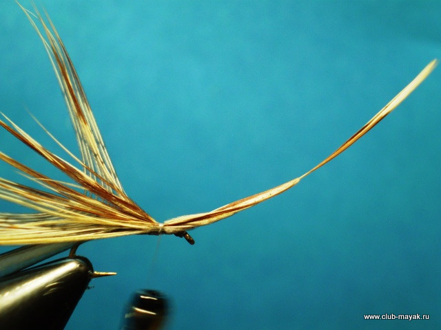 Сухая мушка MayFly Wallywing VW