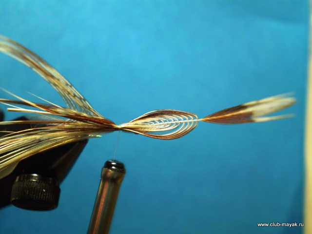 Сухая мушка MayFly Wallywing VW