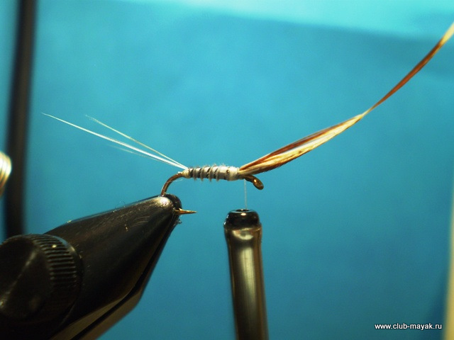 Сухая мушка MayFly Wallywing VW