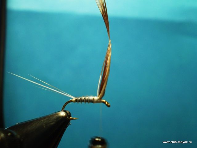 Сухая мушка MayFly Wallywing VW