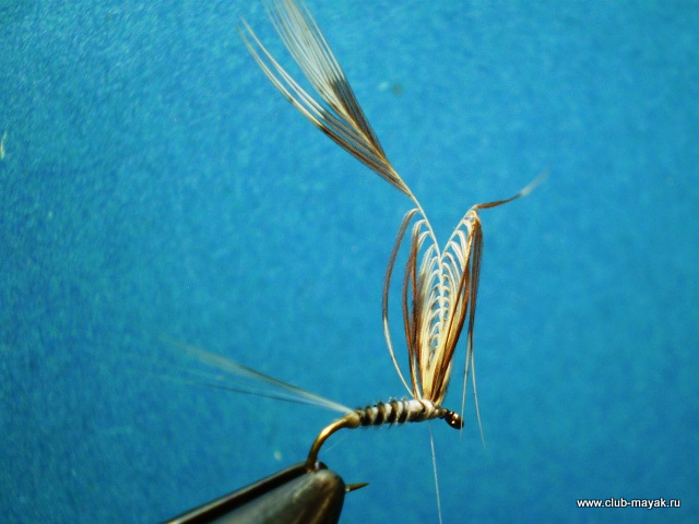 Сухая мушка MayFly Wallywing VW