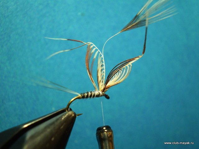 Сухая мушка MayFly Wallywing VW