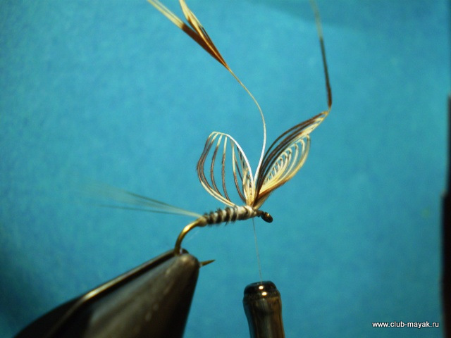Сухая мушка MayFly Wallywing VW