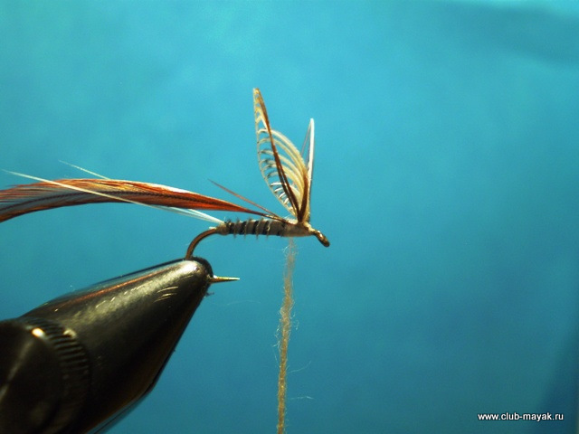 Сухая мушка MayFly Wallywing VW