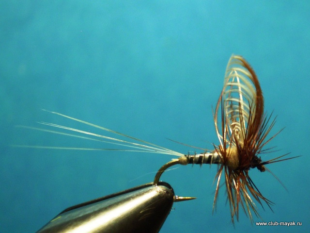 Сухая мушка MayFly Wallywing VW