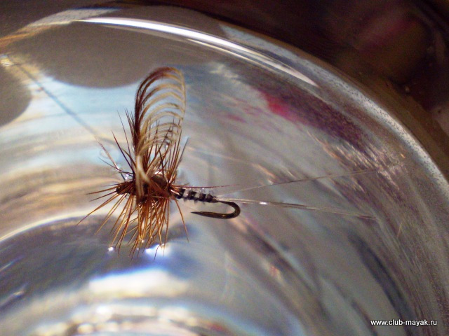 Сухая мушка MayFly Wallywing VW