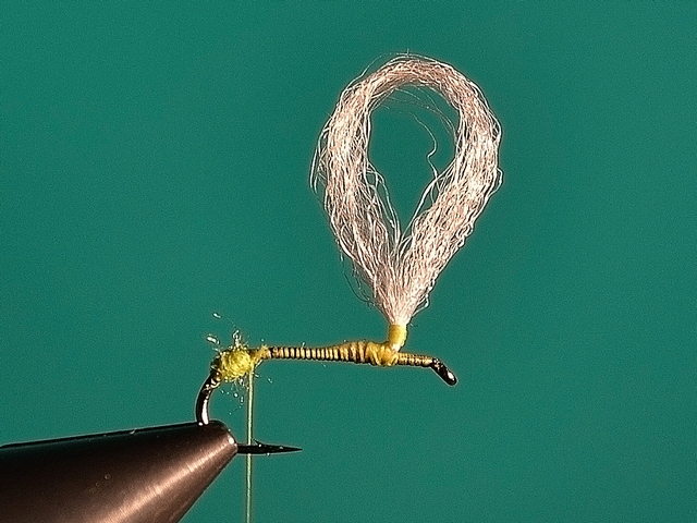 May fly Р.Е.С.