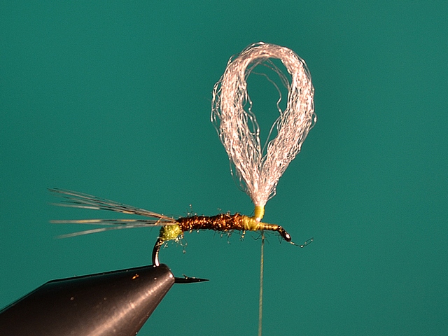 May fly Р.Е.С.