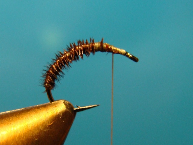 Midge WME