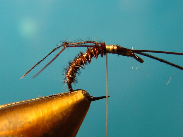 Midge WME