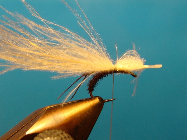 Midge WME