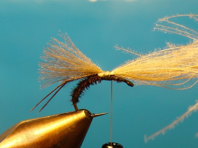 Midge WME